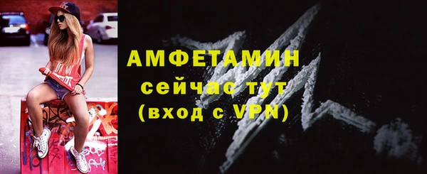 сатива Щигры