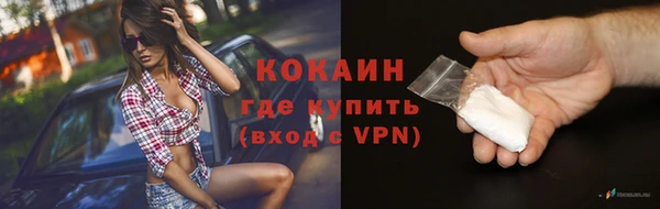 сатива Щигры