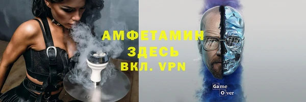 сатива Щигры