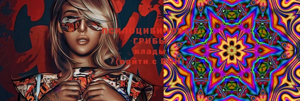 сатива Щигры