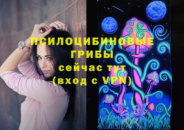 сатива Щигры