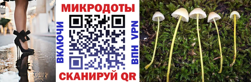наркотики  Старый Оскол  kraken вход  Галлюциногенные грибы Psilocybe 